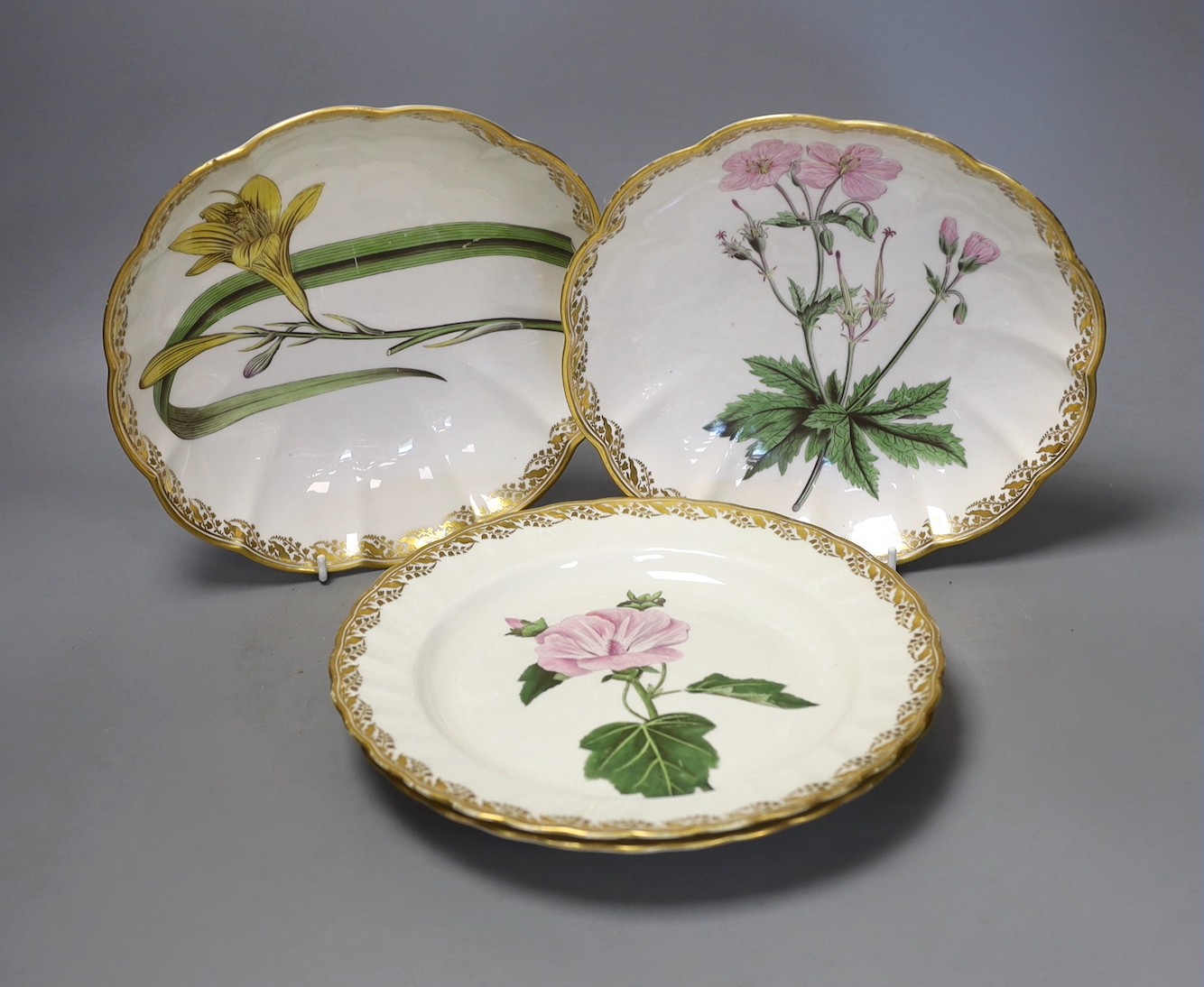 Four Derby botanical plates, to include pattern 115, Derby collection no.150 and 151, c.1795